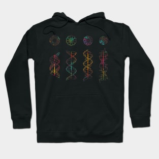 A-,B-,C- and Z-DNA Hoodie